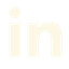 linkedin icon
