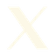 twitter icon